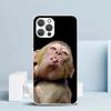 Monkey Memes Soft Cover for iPhone 16 17 Air 15 14 Pro Max 16E Phone Case 13 Mini 12 11 7 SE 8 Print Pattern Fit Cases 16 17 Air