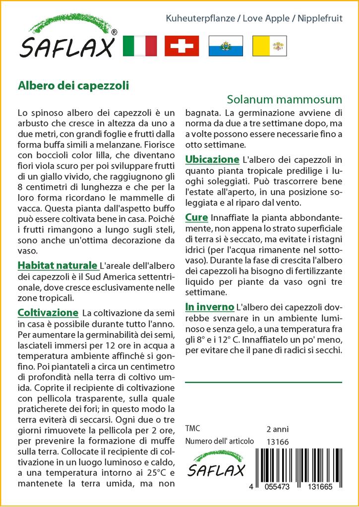 SAFLAX Love Apple / Nipplefruit - 10 semi - Solanum mammosum