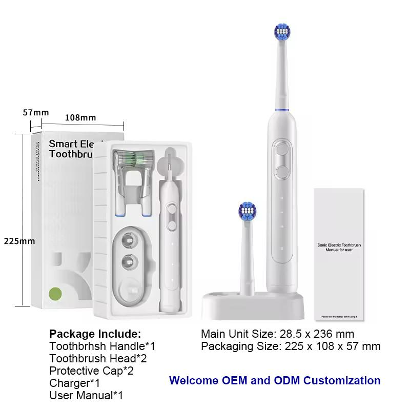 Professional Whitening Deep Clean and Sensitive Mode Multi Function Electric Toothbrush for OEM Buyers