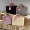 Vielseitige Süße Laptoptasche 16 Zoll – Großes Fassungsvermögen, Verdickt, Lässiges Design