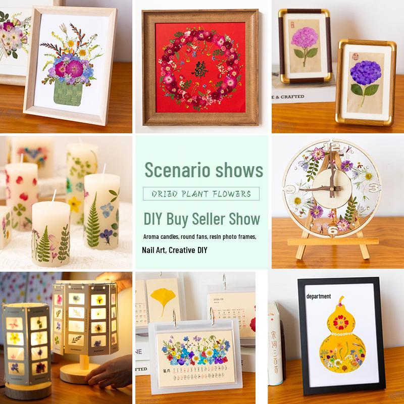 DIY Dried Flower Specimen Sticker Set for Kids: Handmade Pressed Flower Frames & Resin Bookmark Craft Kit