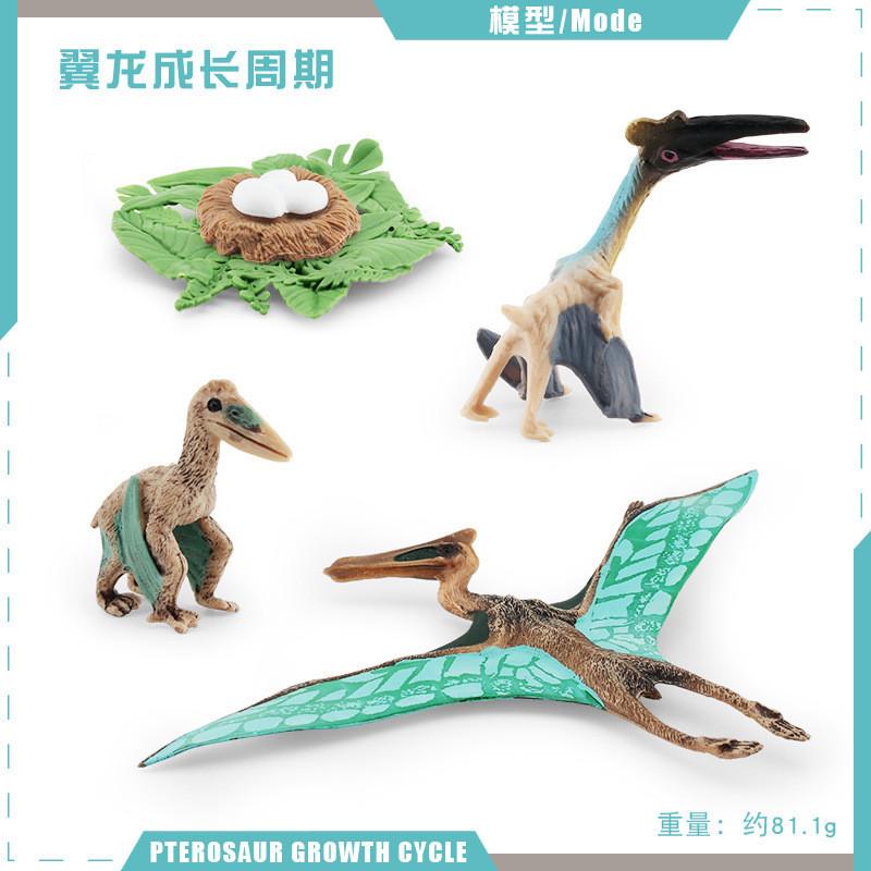 Realistic Jurassic Dinosaur Growth Cycle Model For Educational And Decorative Purposes