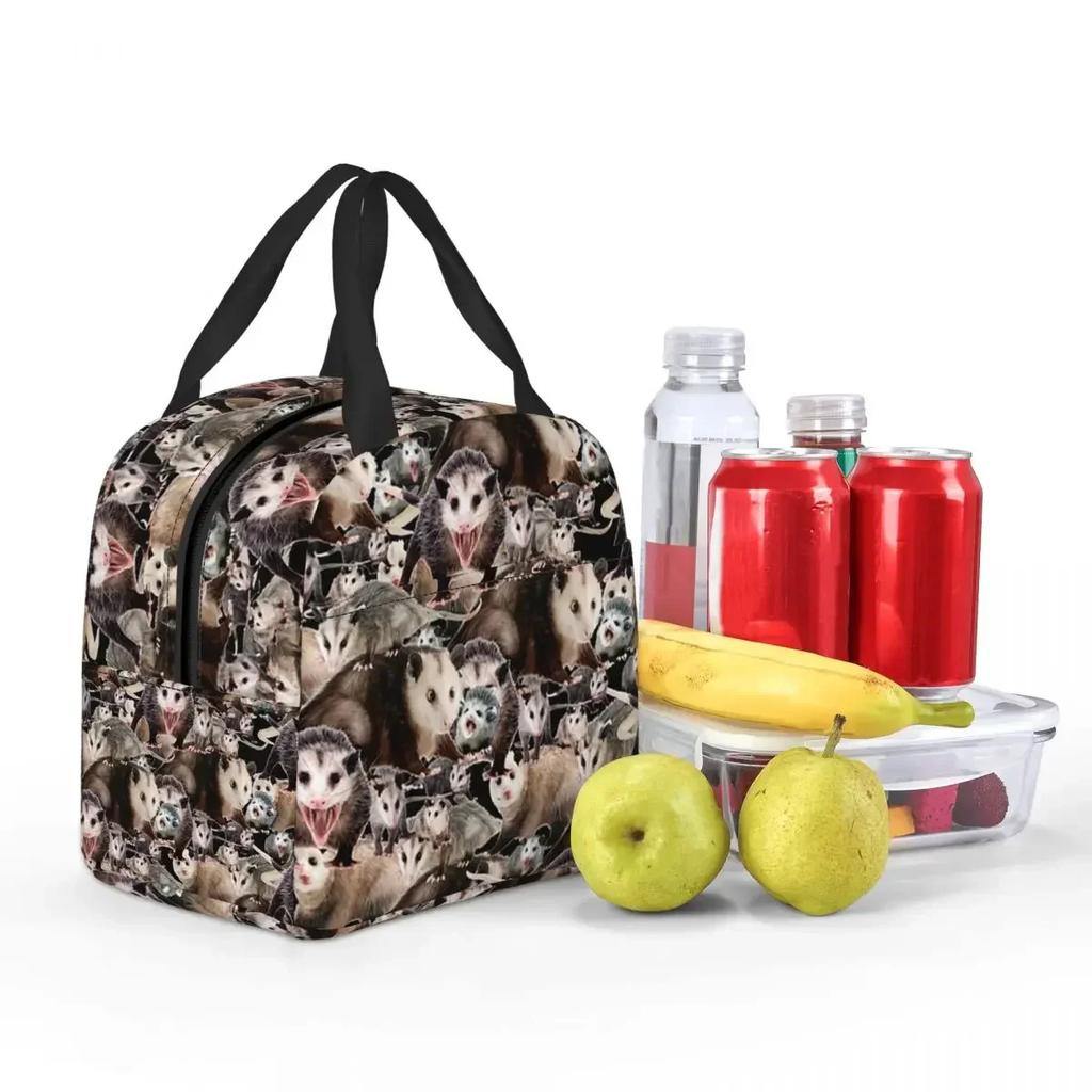 Opossums Opossum Screm Insulated Lunch Bag for Women Kids Portable Food Boxes Thermal Lunch Box Tote