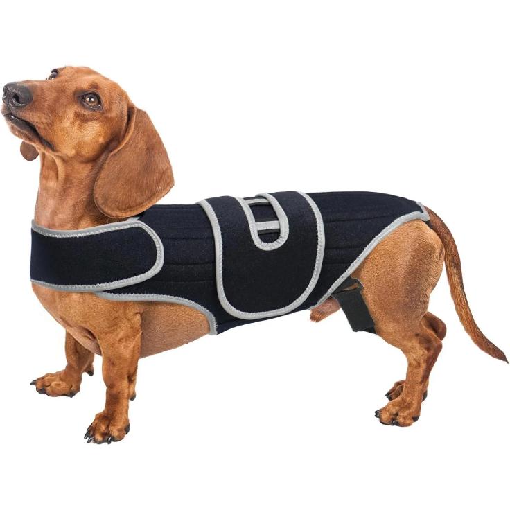 Dog Back Support Brace – Relieves IVDD,Hip Dysplasia, Arthritis & Spinal Injuries Adjustable Breathable Design Spinal Brace Vest