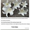 Hanging White Lily Garland for Weddings and Events