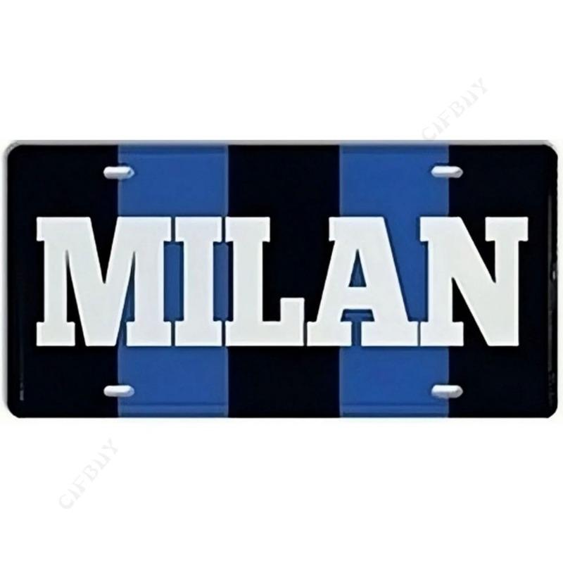 Souvenir Metal License Plate, Custom Auto Sign 15x30cm