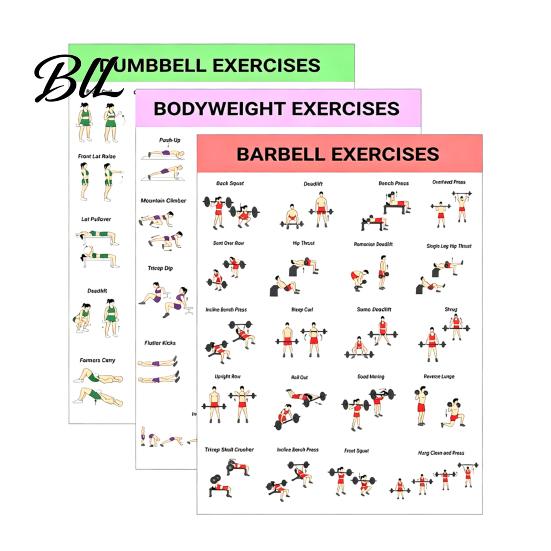Bodyweight Exercise Program 3Pcs Home Workout Poster Set with Dumbbell Barbell Exercises Full Body Schedule Strength Training Guide for Beginners Sets