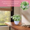 Simulation Grüne Pflanze Topf Ornamente Anlage Kombination Indoor Desktop Ornamente Simulation Künstliche Blume Pflanze Bonsai