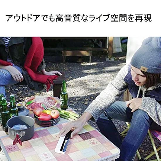 Plex Bluetooth Wireless Flat Panel Speaker Black Waterproof Vibration Speaker Wireless Charging Compatible Magnet Mountable BeSONIC PX-EBTWPS01BK