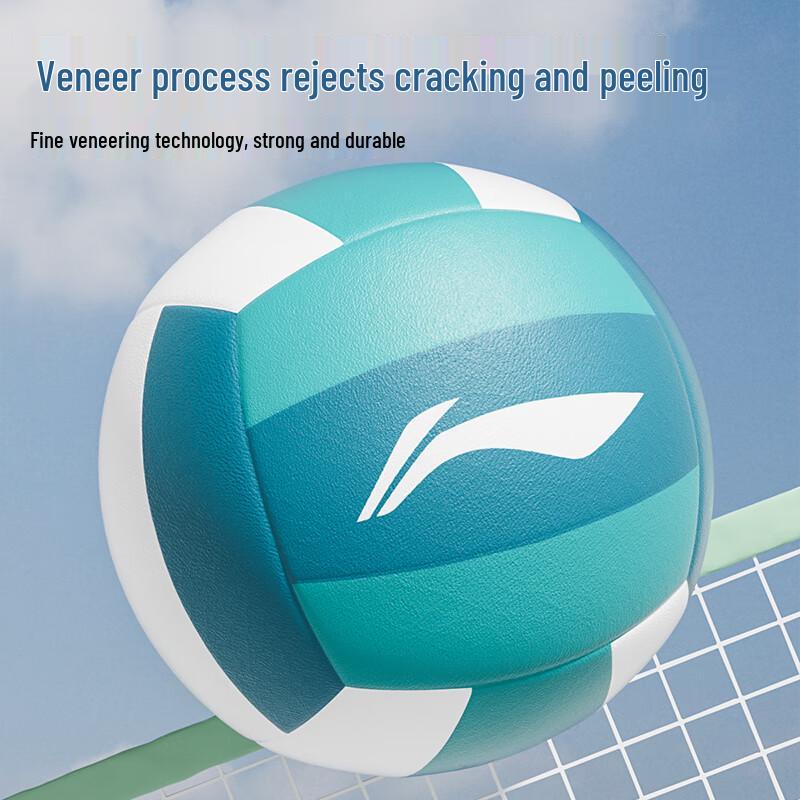 Li-Ning Standard Size 5 Training Volleyball
