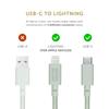 NATIVE UNION Belt Cable To Lightning Data Sync Fast Charging Cable Compatible with USB-C [MFi Certified] iPhone/iPad (3 Meters) (Sage)