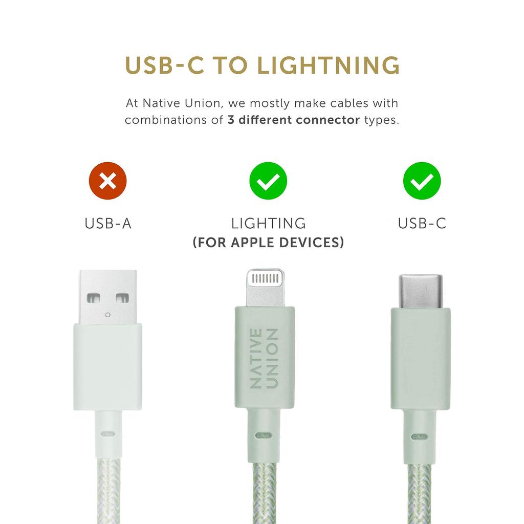 NATIVE UNION Belt Cable To Lightning Data Sync Fast Charging Cable Compatible with USB-C [MFi Certified] iPhone/iPad (3 Meters) (Sage)