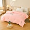 New Embossed Silk Quilt Soft and Comfortable Air Conditioner Cool Breathable Summer Quilt Silk Pupa Protein Quilt