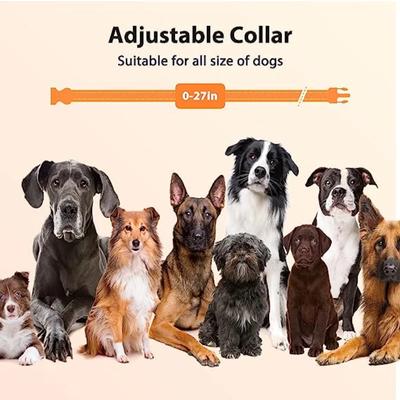 Collare Elettrico per Cani di Taglia Media - Collare Addestramento per Cani con Telecomando per Cani Piccoli 5-15 libbre Ricaricabile IPX7 Impermeabile