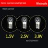 Compact Light Bulb Set - 1.5V, 2.5V, 3.8V Screw Base for Flashlights and Experiments