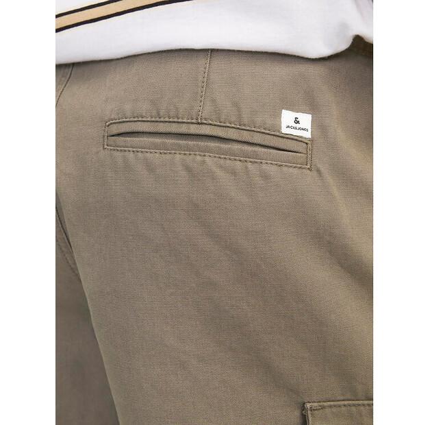 Шорты Jack & Jones Jpstcole