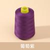 Polyester Sewing Thread Polyester Cone Thread for Home Sewing Machine Hand Sewing,Spun Yarn for Tailoring,Quilting  DIY Craft