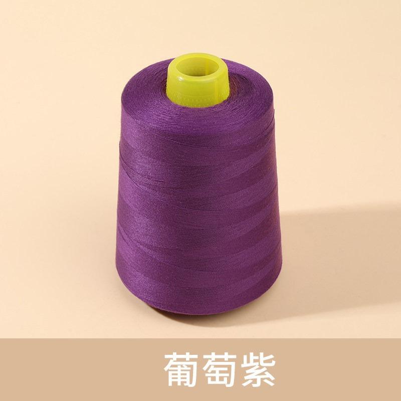 Polyester Sewing Thread Polyester Cone Thread for Home Sewing Machine Hand Sewing,Spun Yarn for Tailoring,Quilting  DIY Craft