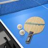 VICTAS OUT Table Tennis Special Straight ZX-GEAR Racket, Shakehand, Offensive, Material, Handle, 028905.