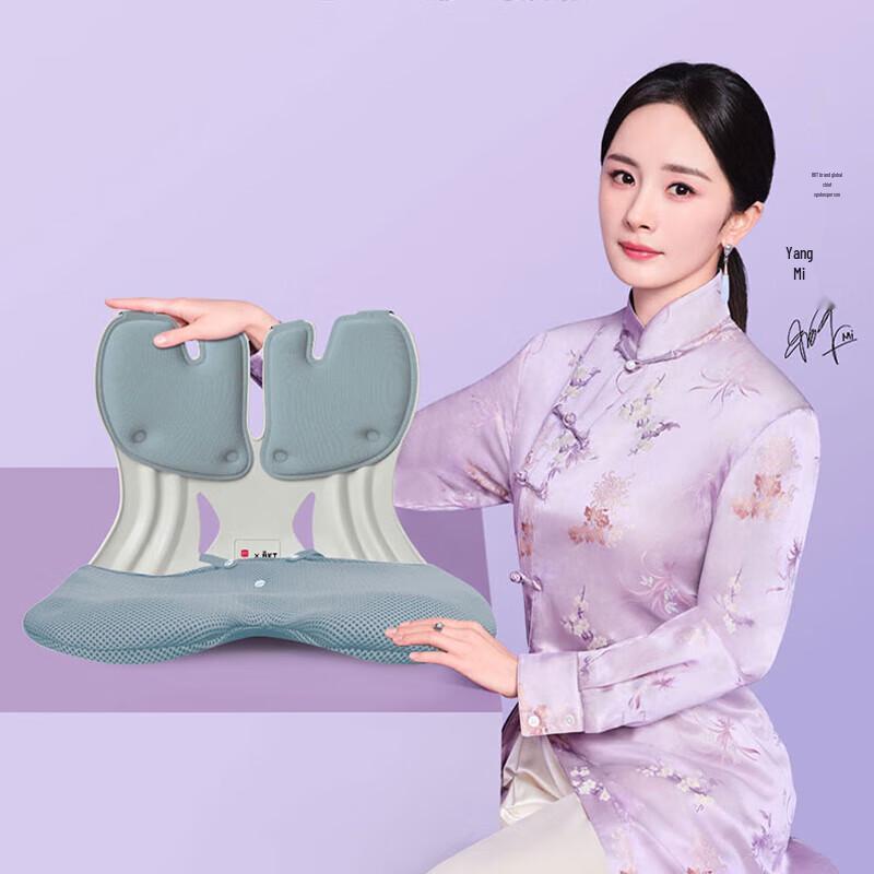 BKT Ergonomic Lumbar Support Seat Cushion
