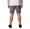 Columbia Logo Shorts