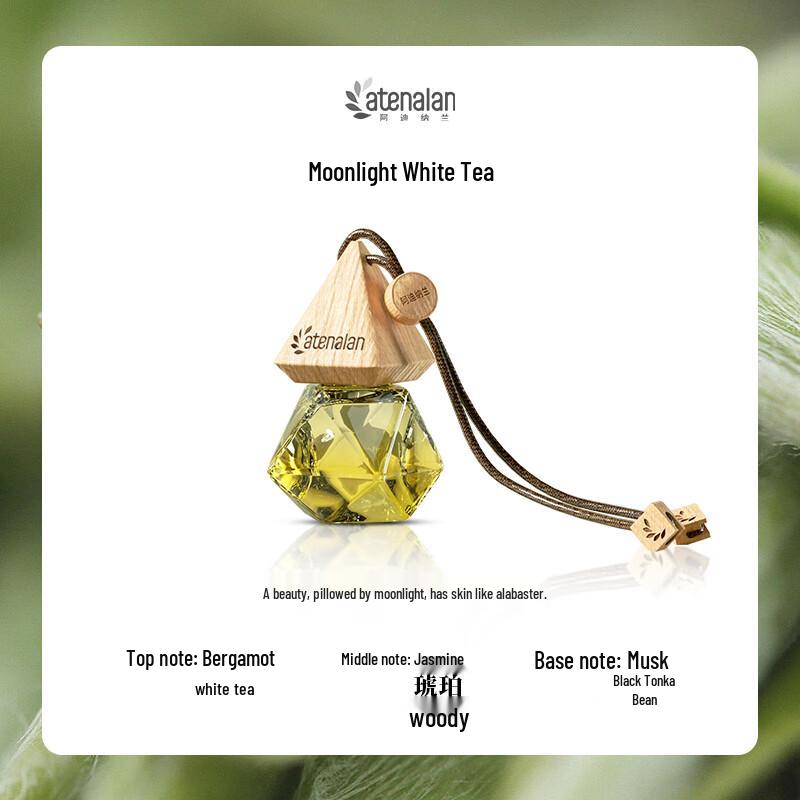 Ally Car Aromatherapy Hanging Diffuser