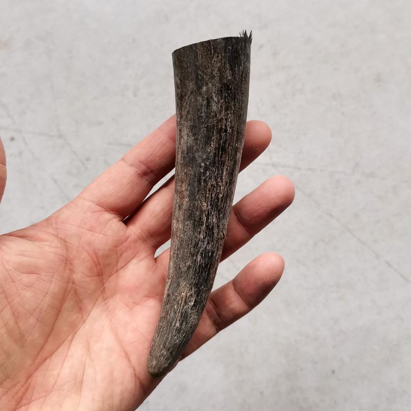 Bizoní roh DIY materiál pro řezbářství a řemesla: Rukojeti nožů, Korálky, Pečetě