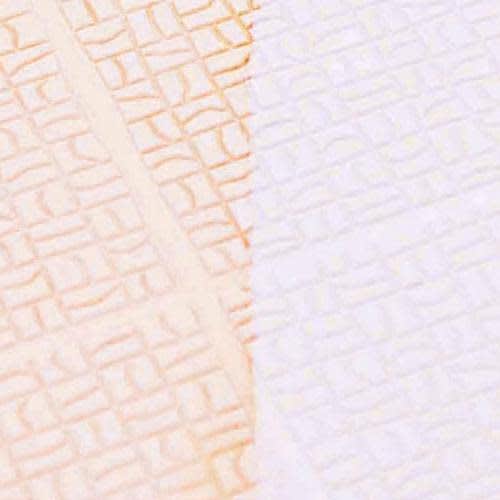 Azuma Industrial TK Brushing Sponge for Bathroom Floors, For Uneven Bathroom Floors, Walls, and Bathtubs