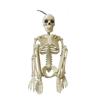 Simulation Halloween Human Body Skeleton Haunted House Full Body Skeleton Party Props Home Decoration for Carnival Theme Parties