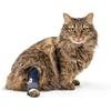 Cats Cushioned Foreleg Wrap for Pet Use, Secure Hold and Formed Insert for Indoor Rest and Routine Support Wear Daily