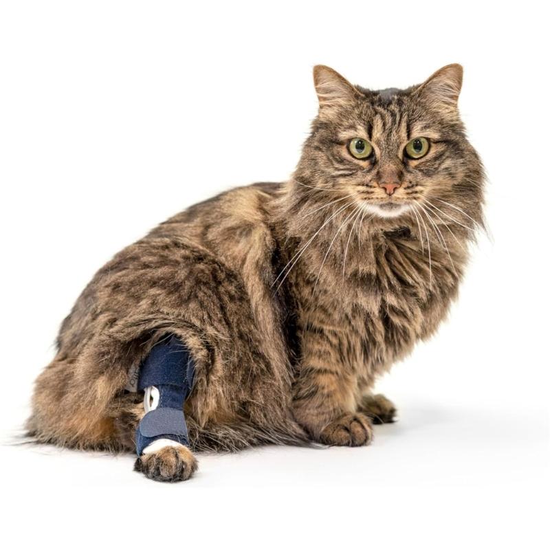 Cats Cushioned Foreleg Wrap for Pet Use, Secure Hold and Formed Insert for Indoor Rest and Routine Support Wear Daily