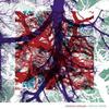 Silversun Pickups - Widow's Weeds [cd] Explicit