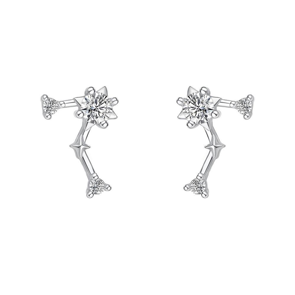 Korean Fashion Twelve Constellation Earrings for Women S925 Sterling Silver Exquisite Sparkling Zircon Earrings