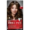 Briance Hair Color 884 Cocoa Brown