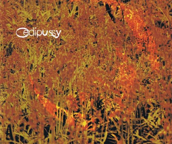 

CD OEDIPUSSY - She Believes In Me hanscd1 Hansome Records 1994 UK Rock Used