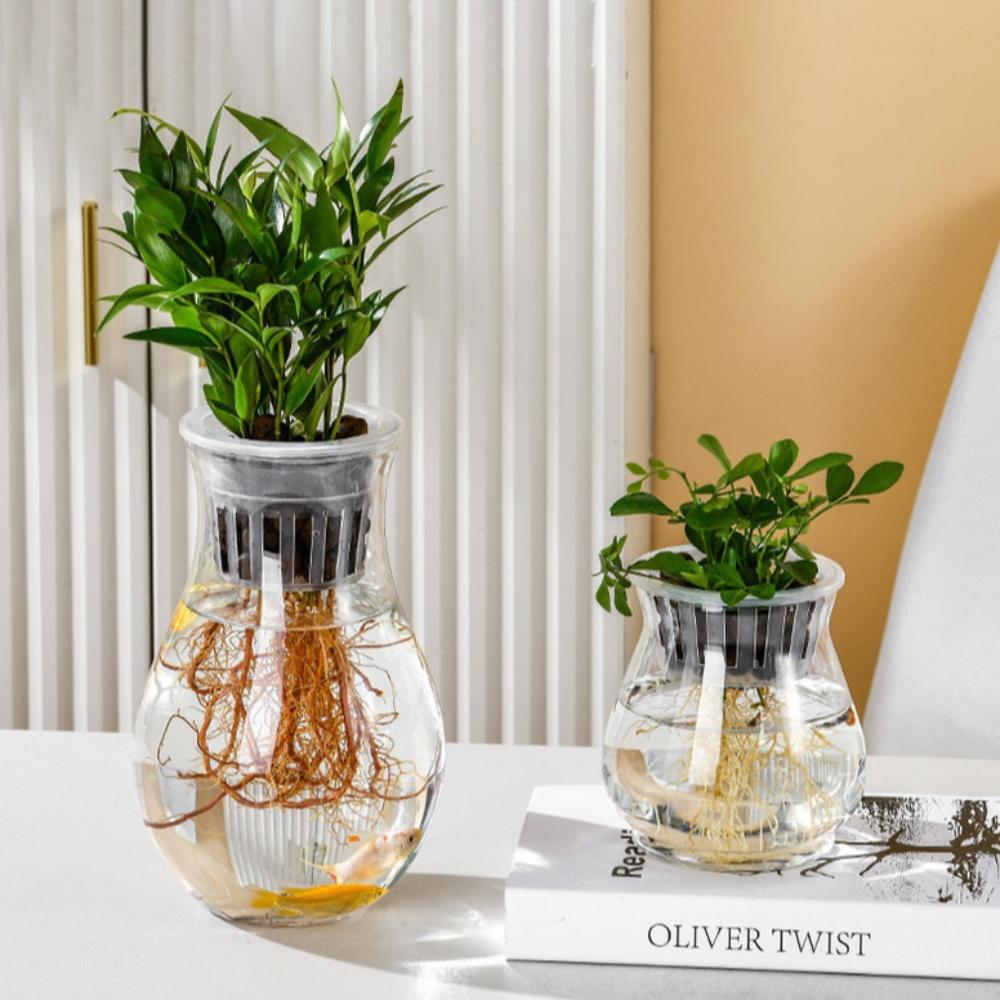 Plastic Self-absorbing Flower Pots Transparent Vase Hydroponic Special Flower Pots Desktop