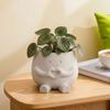 Flowerpot Ornaments 3D Printing Cute Desktop Plant Holder Durable PLA Home Decoration for Succulent Plants