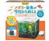 Tetra Fish Breeding Aerator Aquarium with Suitable for Keeping Medaka Rice and Other Aquarium SP-17BU Set Filter, (Japanese Fish), Goldfish, Items.