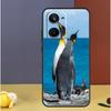 Cute Penguin For Realme GT7 GT6 15 Pro 10 11 12 13 14 Pro Plus C55 C71 C75 C67 C63 C61 C53 C35 C65 Case
