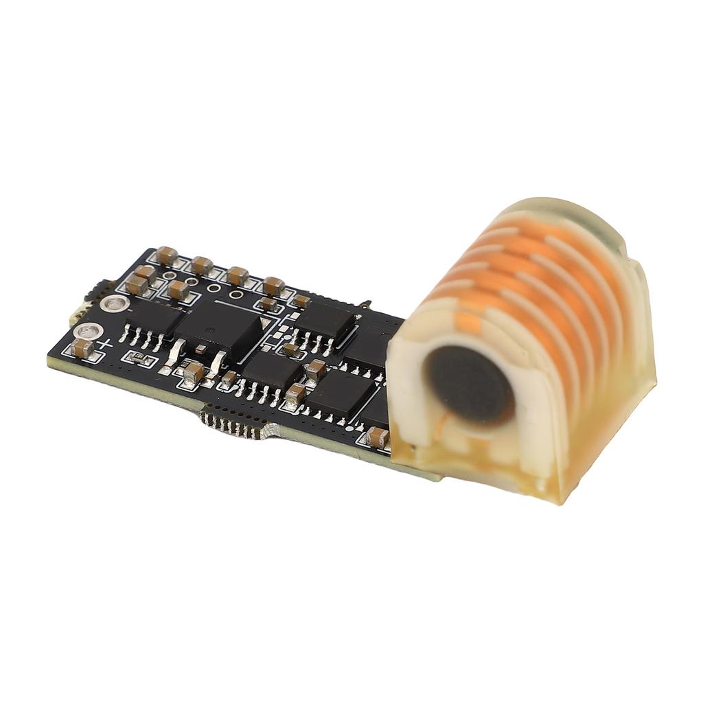 Ignitor High Voltage Module High Frequency AC Low Heat Arc Boost Ignition Coil Module Board for Ignition System