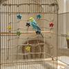 Hanging Parrot Climbing Net Colorful Star Bird Stand Net Creative Bird Hammock  Indoor