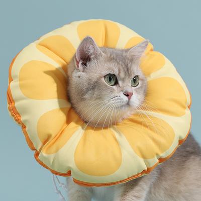 Alžbětinský límec pro kočky Pet Neck Cone Měkký odolný proti opotřebení Kočičí doplňky Kočky Léčení ran Ochranný límec pro kočky