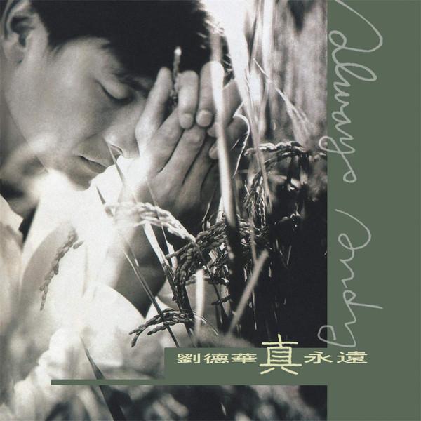 

CD ANDY LAU - Always Andy NMR1009C, New Melody Prod 1995 Taiwan Pop Used