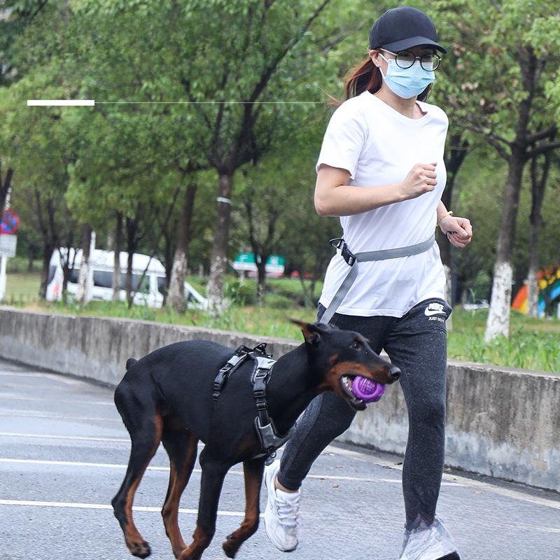 Laisse et corde de course multifonctionnelle et élastique antidéflagrante pour chien BOSKITTEN