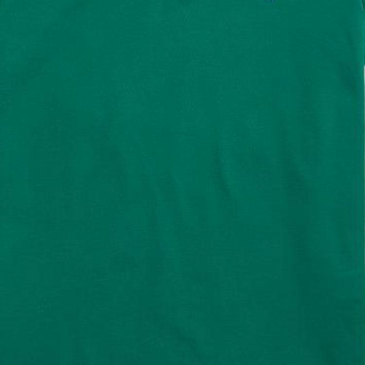 Polo Ralph Lauren SS23 Solid Logo Embroidered Slim Fit Short Sleeve Polo Shirt Men Tops Green MNPOKNI1N822251-320