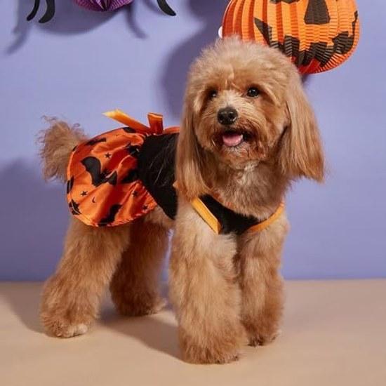 Halloween Pet Clothing Ghost Bat One-piece Wear Cute Costume Disguise Skirt Small Dogs Medium Cats Commemorative Photo (Halloween-A L)