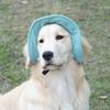 Soft Dog Fisherman Hat Adjustable Dog Baseball Cap Pet Accessories Cat Sunscreen Hat  Hiking