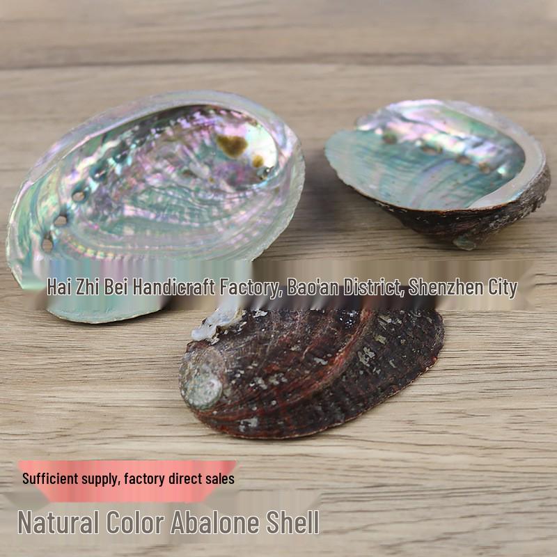 Guscio di Abalone Naturale per Arredamento Casa, Acquari, Paesaggistica e Bruciare Salvia