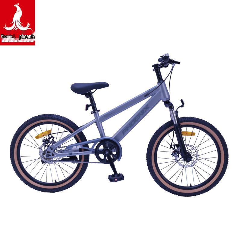 PHOENIX TT-20plus 20-inch Student Mountain Bike