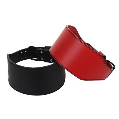 Ceinture d'entraînement musculaire à la taille rouge et noire + ceinture de fitness et d'haltérophilie en cuir de vachette + équipement de protection à levier